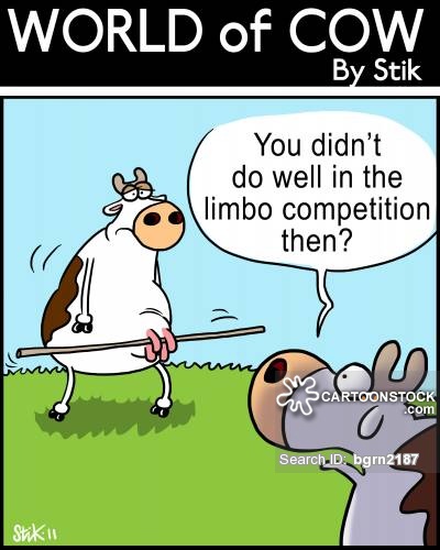 animals-cow-farm-farming-farms-competition-bgrn2187_low.jpg