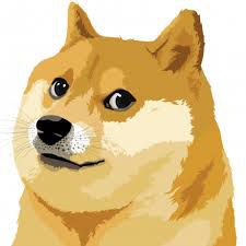 doge-56a6a4583df78cf7728f8acd.jpg