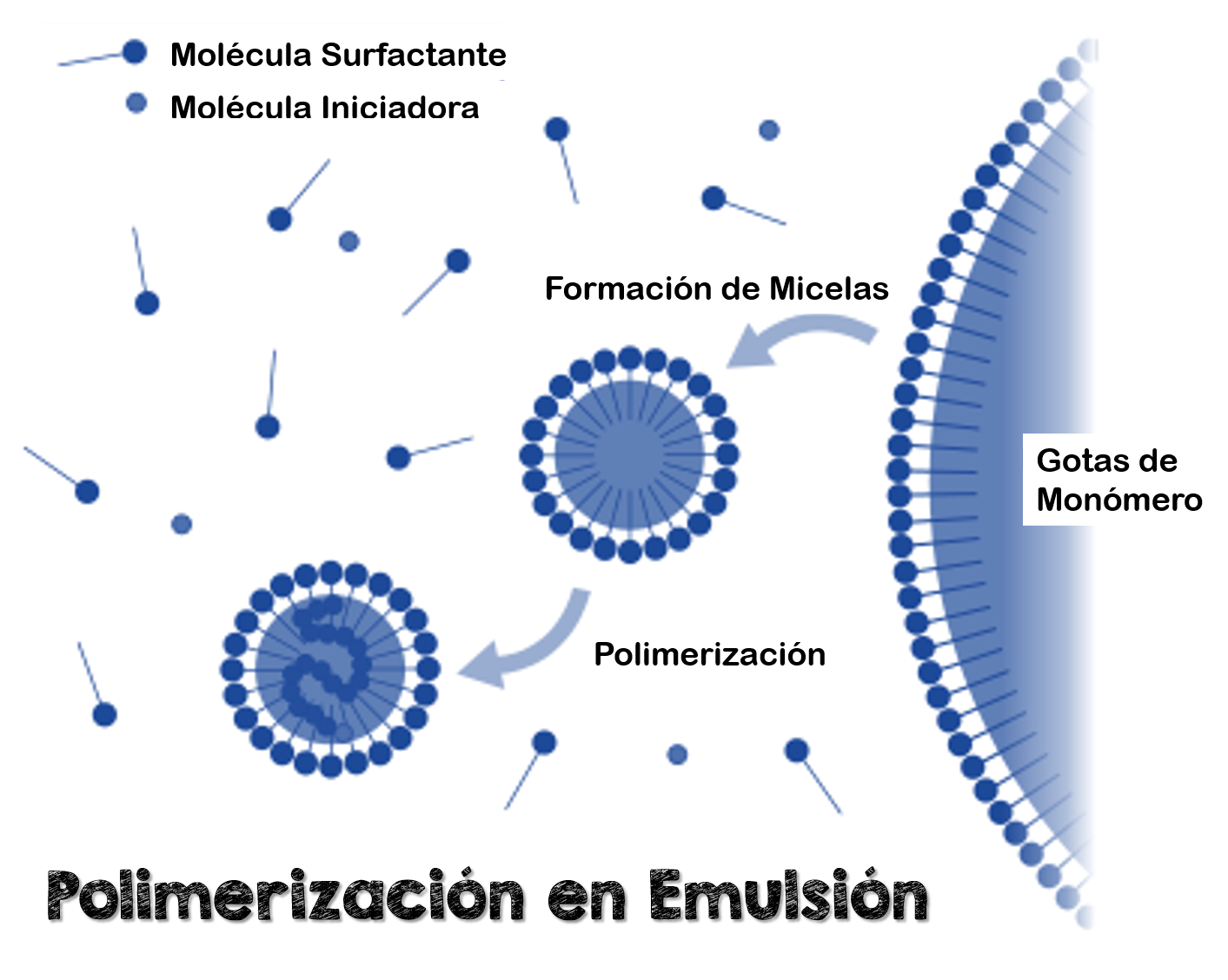 Polimerizaci__n_Emulsi__n.png