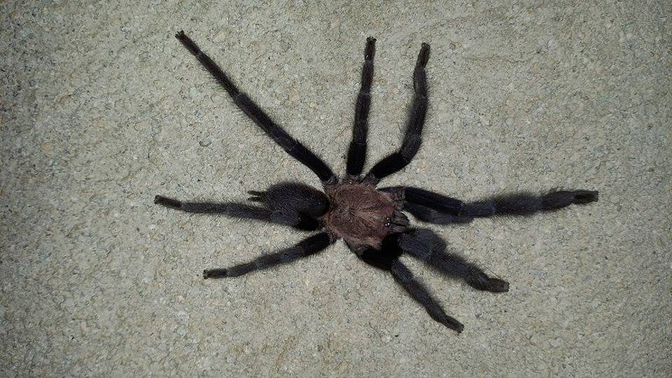 creature 3.jpg