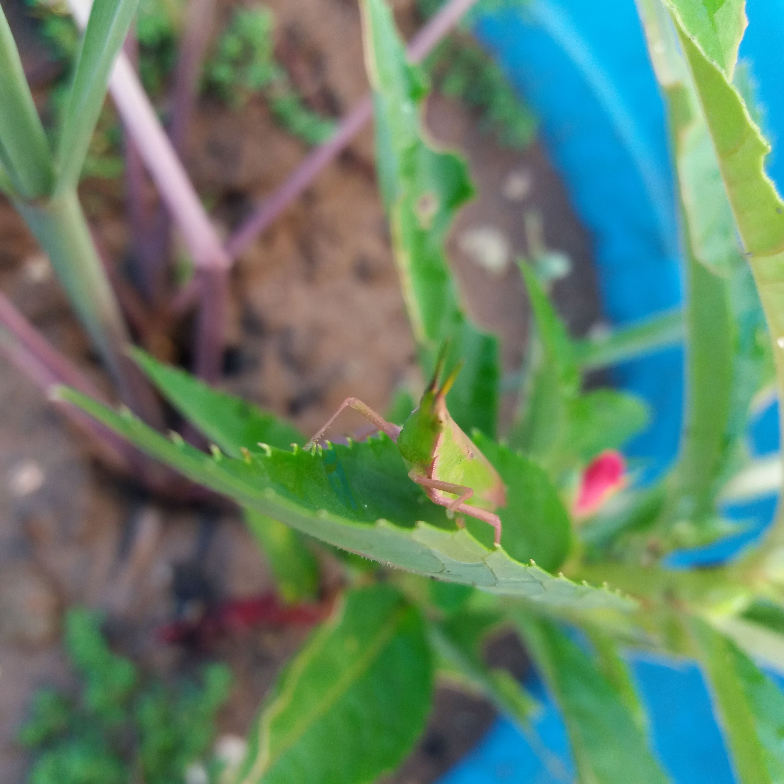 20180220_073537.jpg