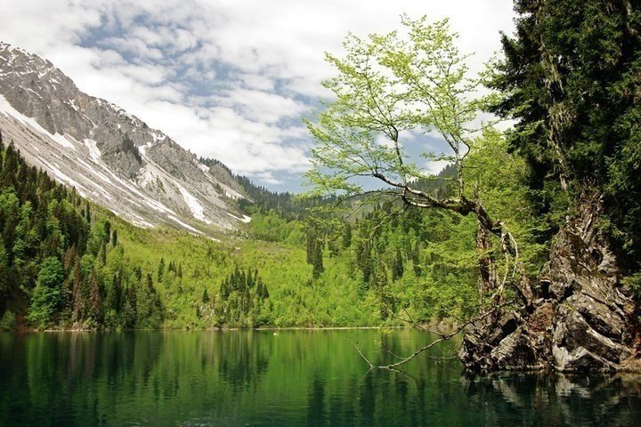 Lake Malaya Ritsa, Abkhazia.jpg