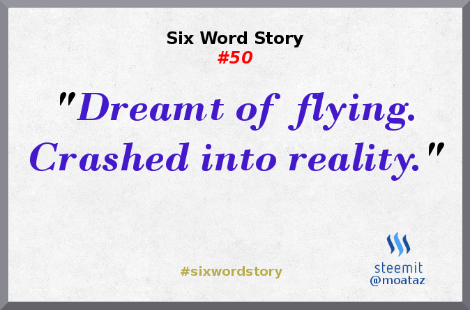 50-dreamt-of-flying-crashed-into-reality.png