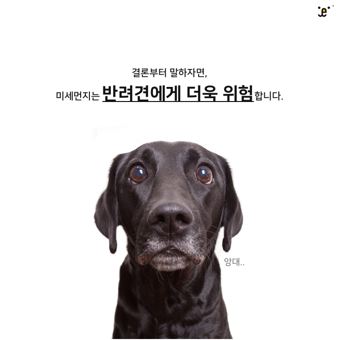 미세먼지3.png