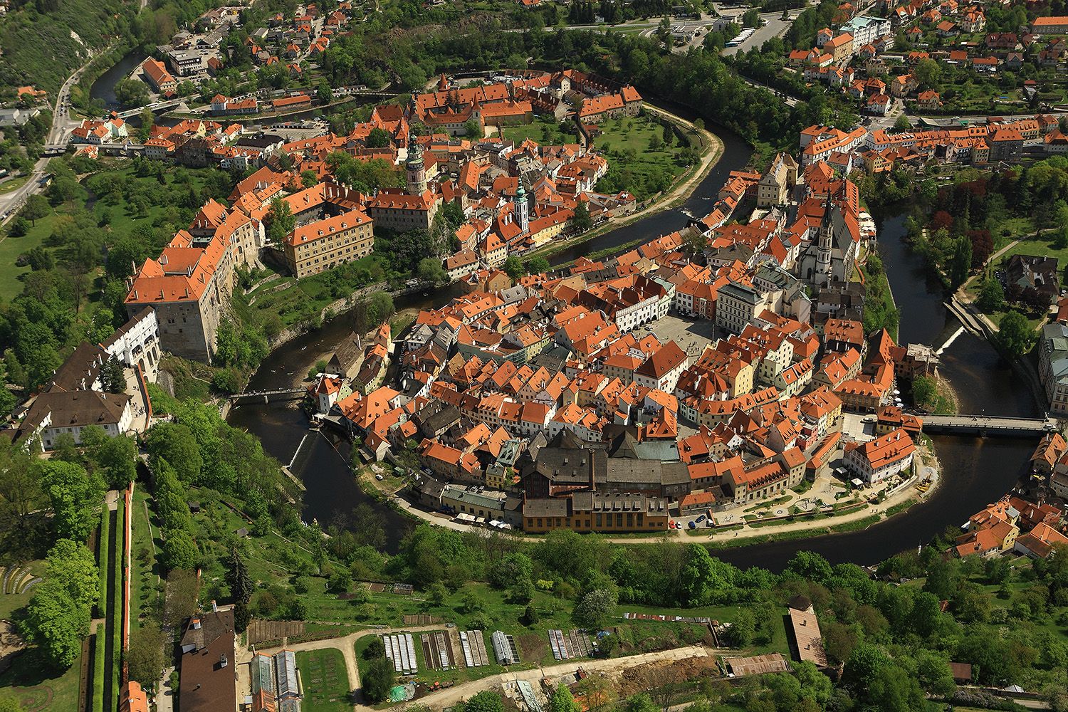 weinfest-in-cesky-krumlov2.jpg