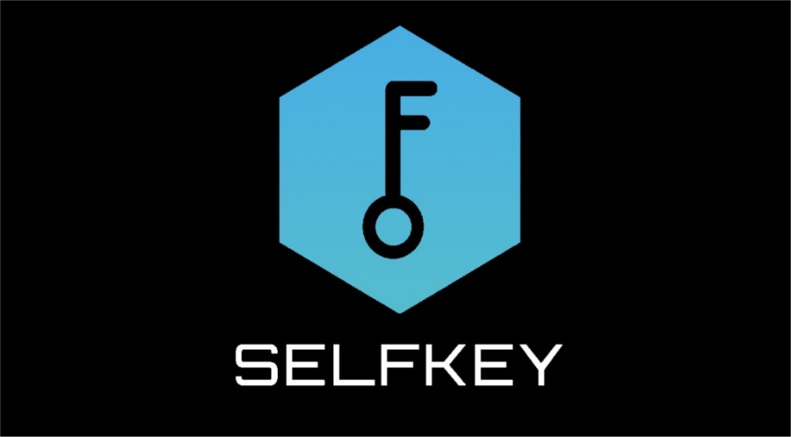 Key token. SELFKEY. Key криптовалюта. SELFKEY Key. Токен ключ от оупен Аей.