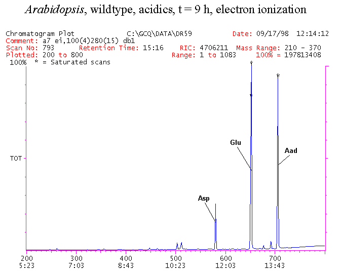 Slide15.GIF