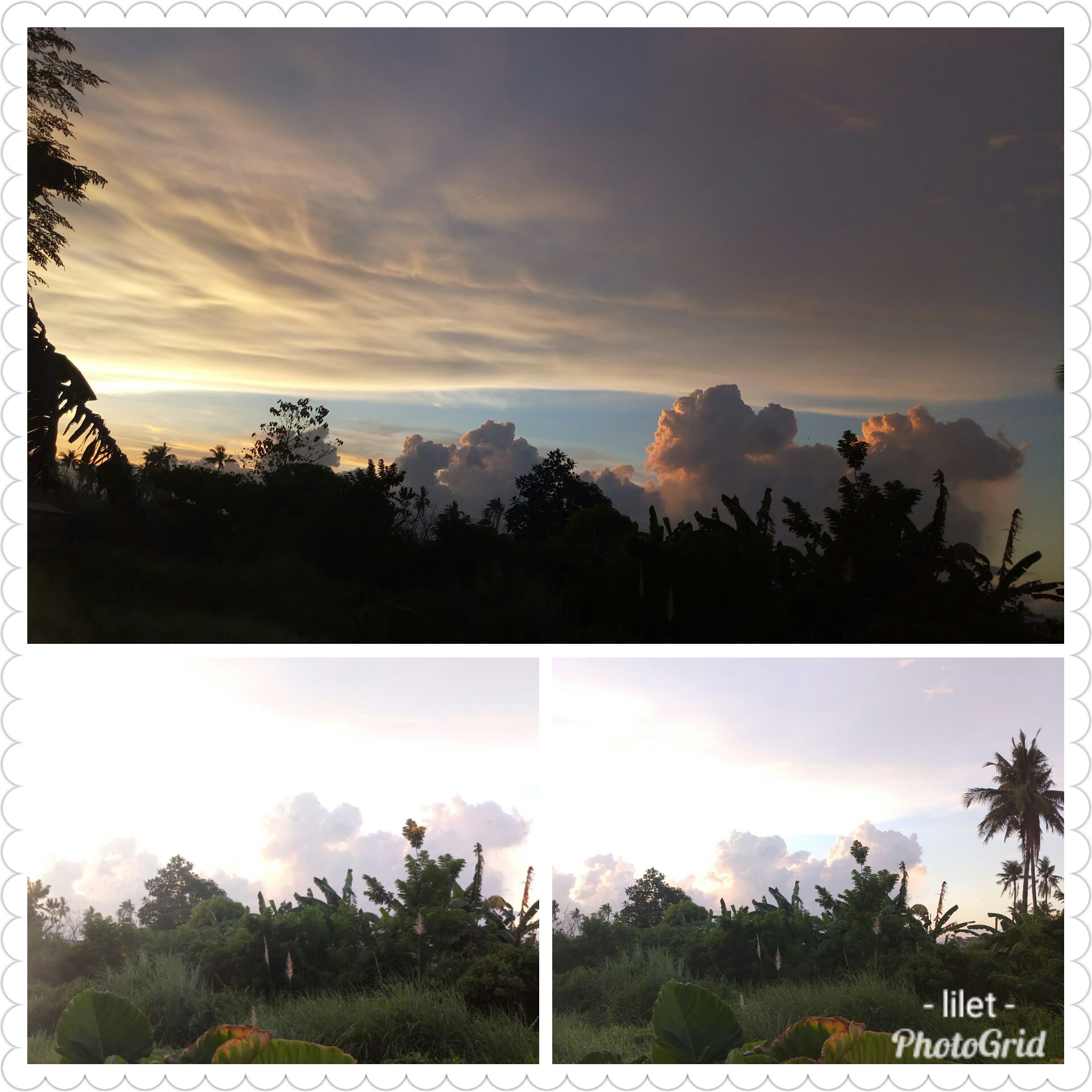 PhotoGrid_1524654140062.jpg
