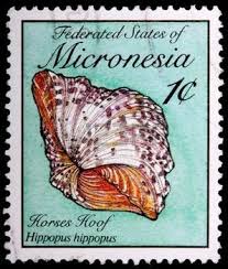 Micronesia_art_cover.jpg