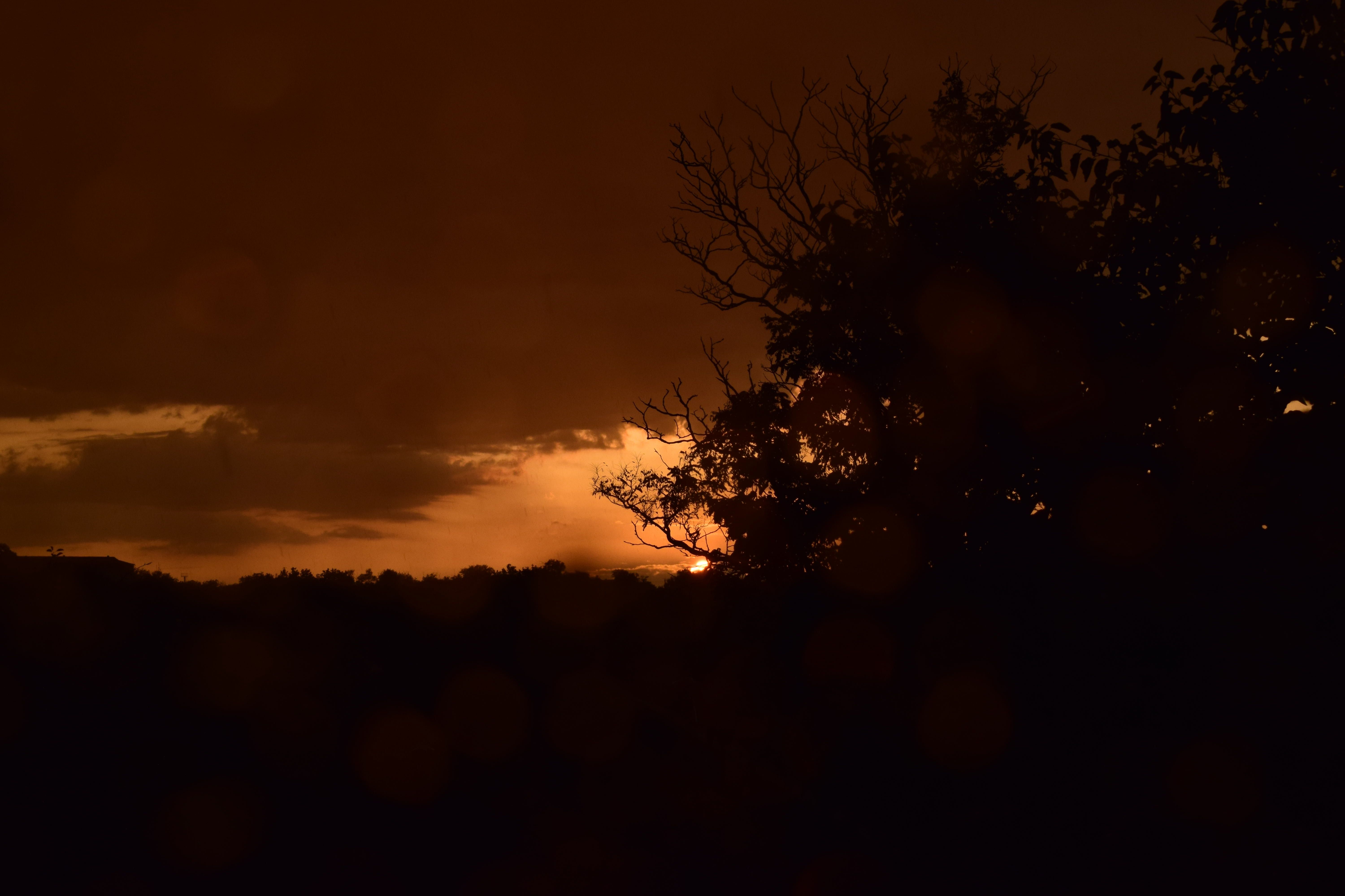 DSC_0504.jpg