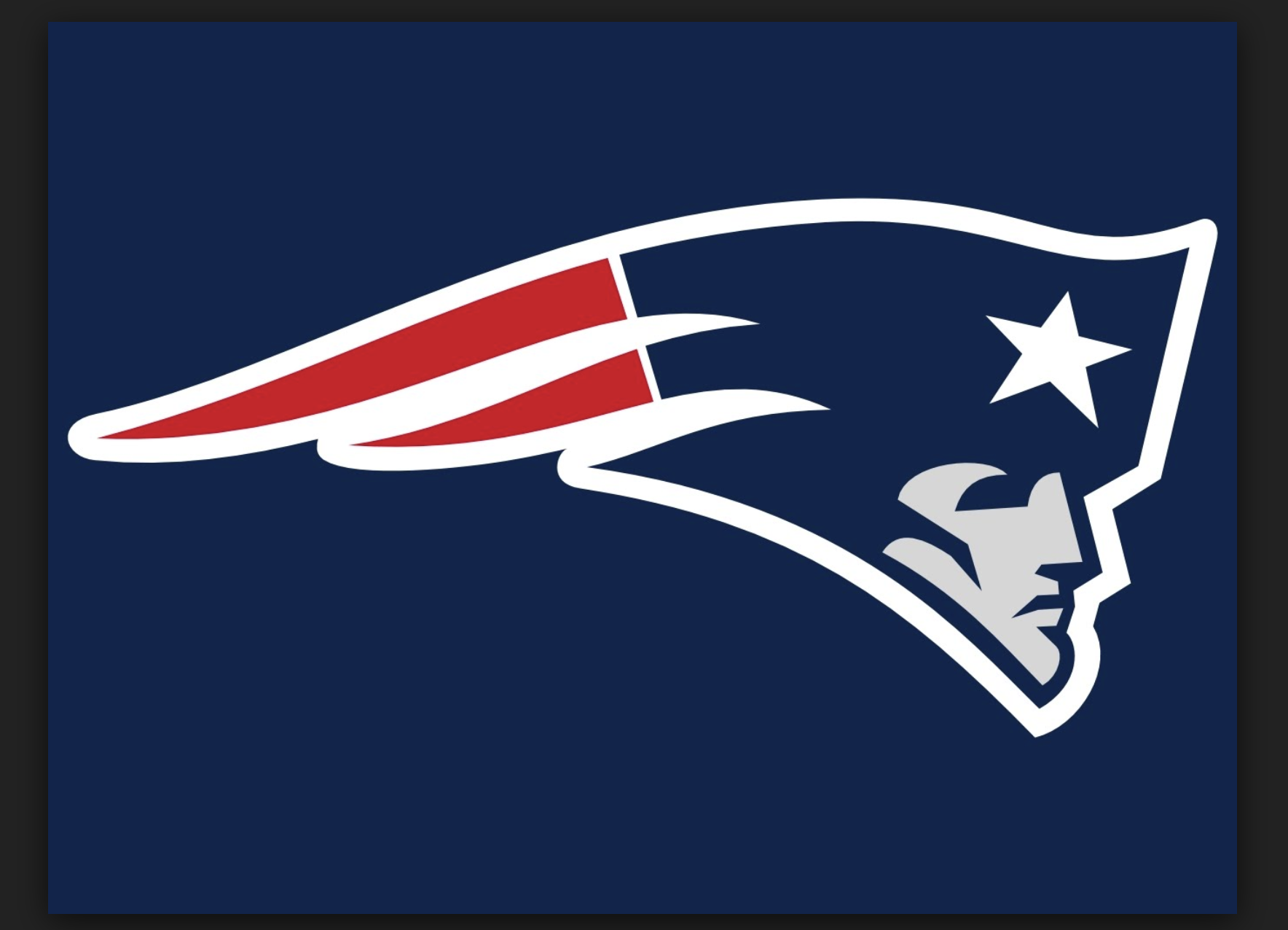 patriots1.png