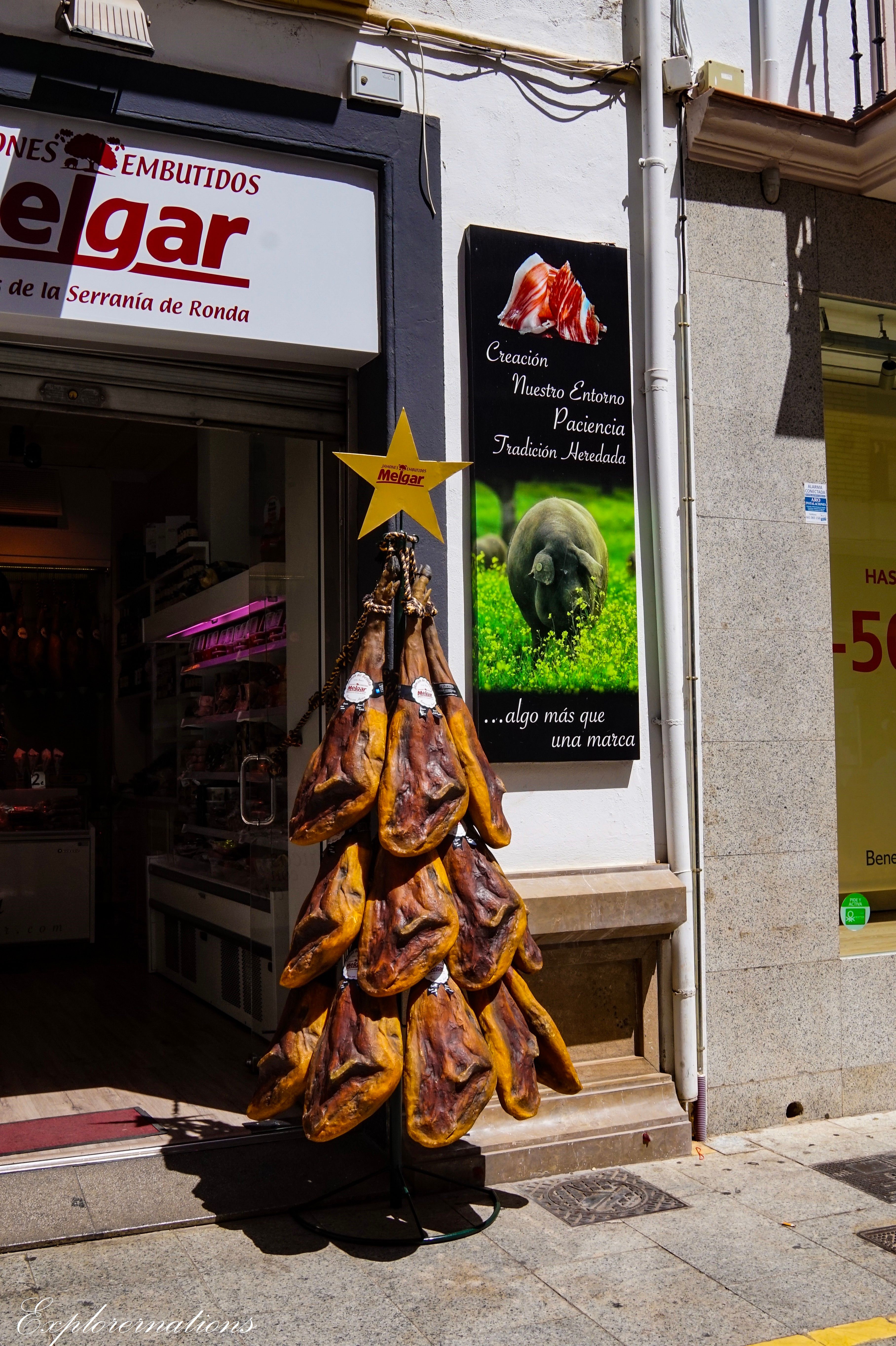 travel blog 28: the promising and splendid nature