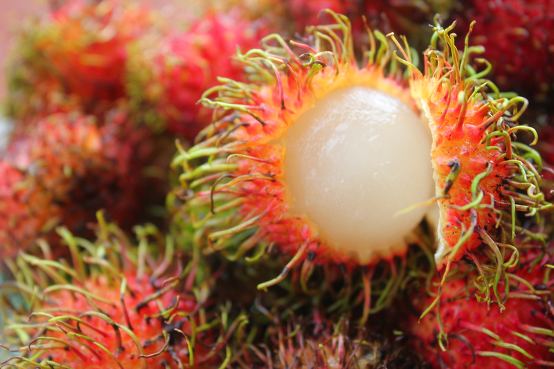 rambutan.jpg