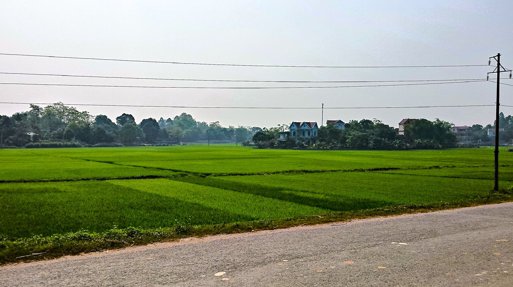 20150415_091621_HDR.jpg