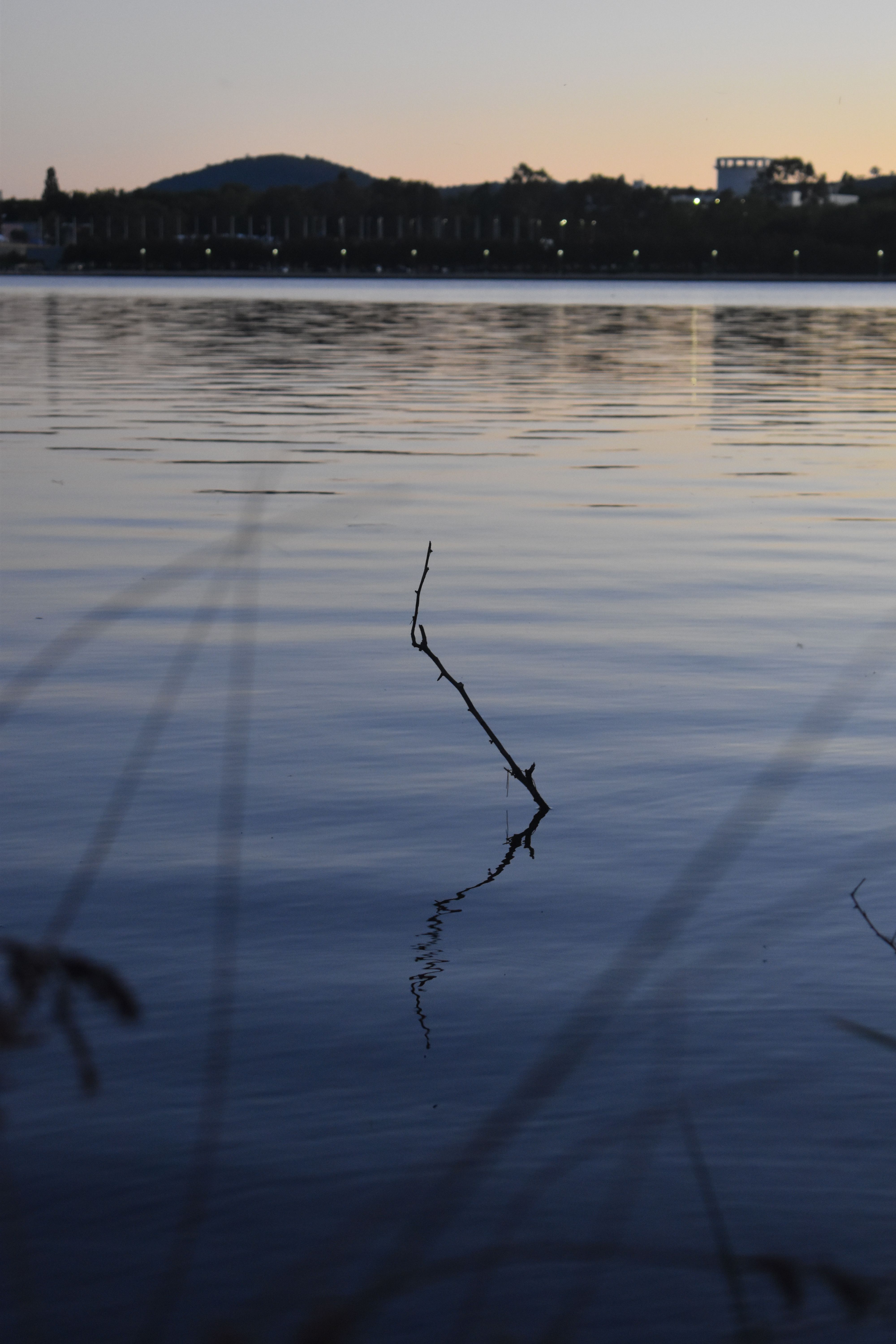DSC_0257.JPG