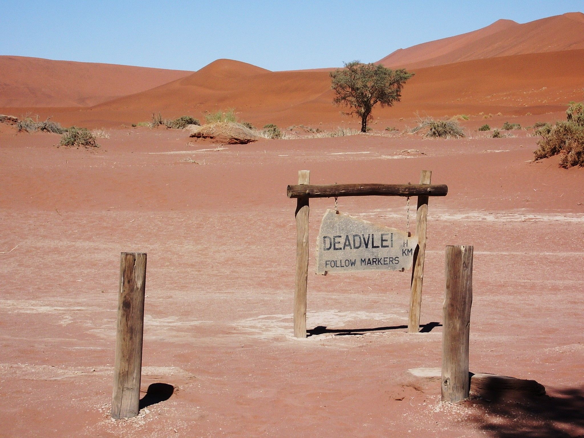 Dead Vlei.jpg