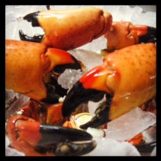 Stone Crab Claws 3.JPG