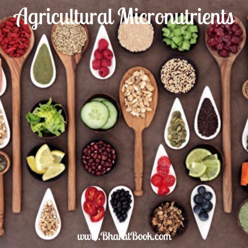 Agricultural-Micronutrients.jpg