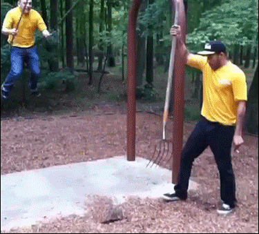 74766_812517_806881.jpg.gif