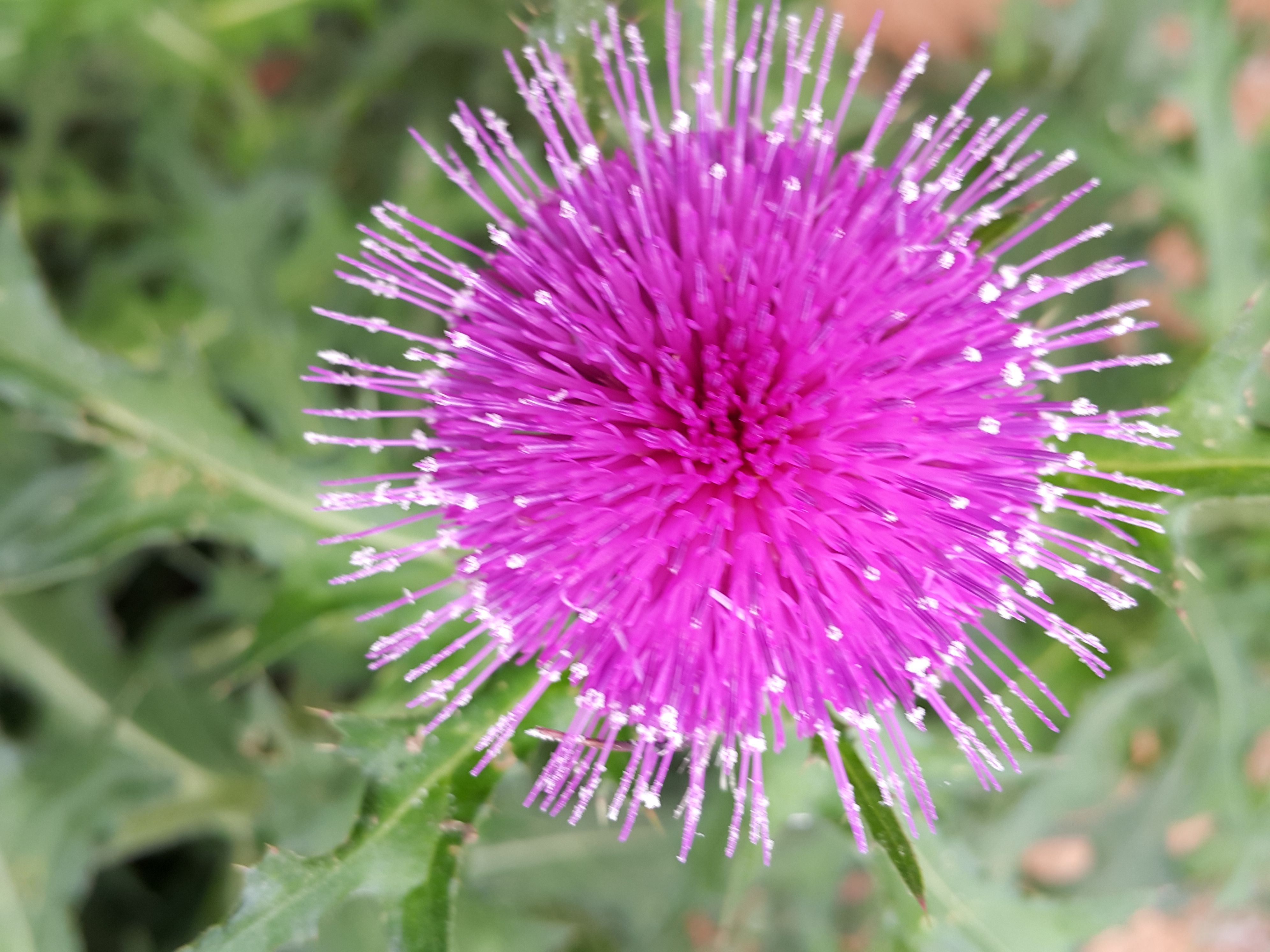 20150518_090749.jpg