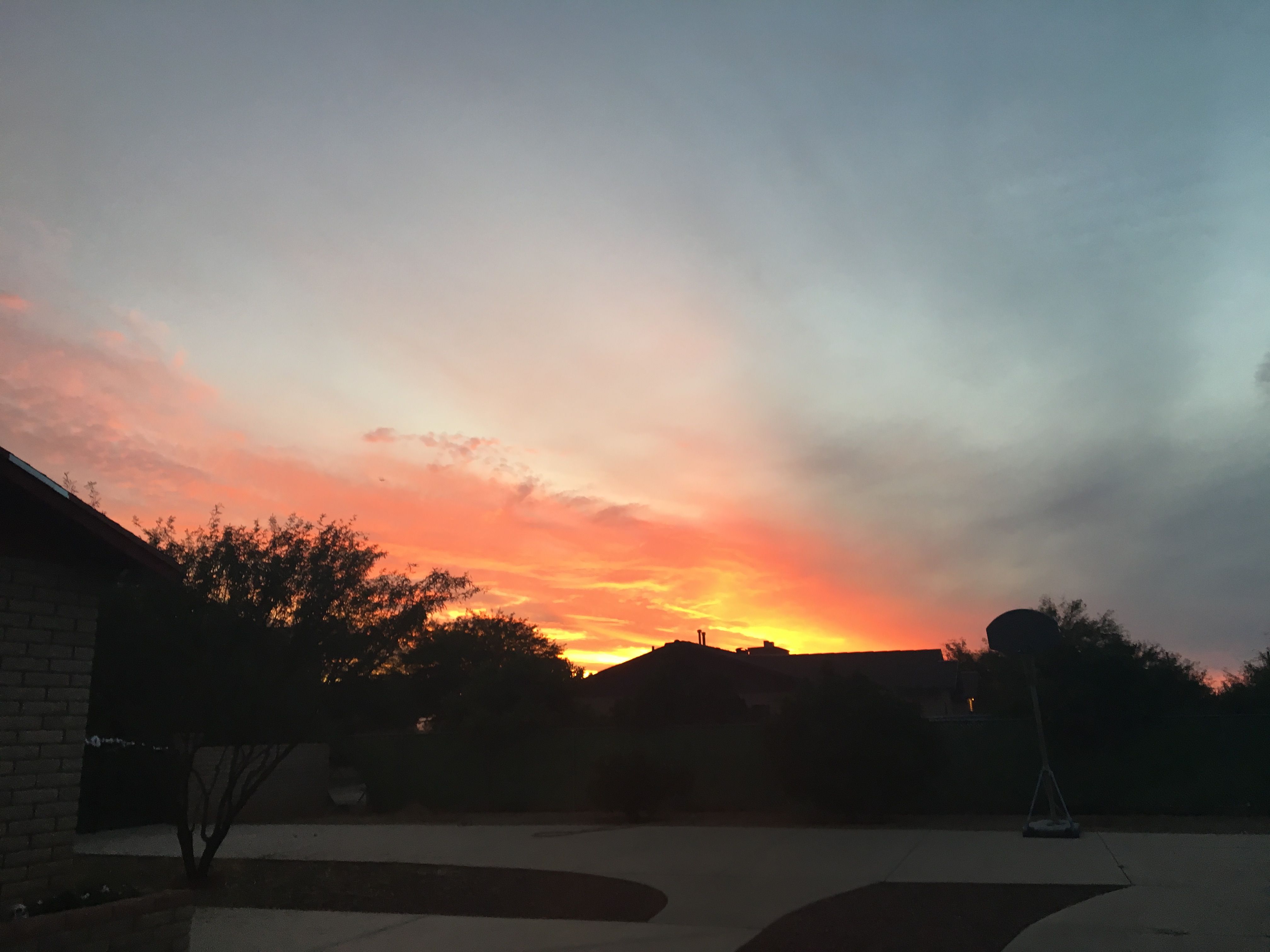 D4D03D95-462F-434E-A780-D621017BBD65.jpeg