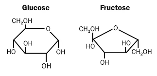 gluc and fruc.png