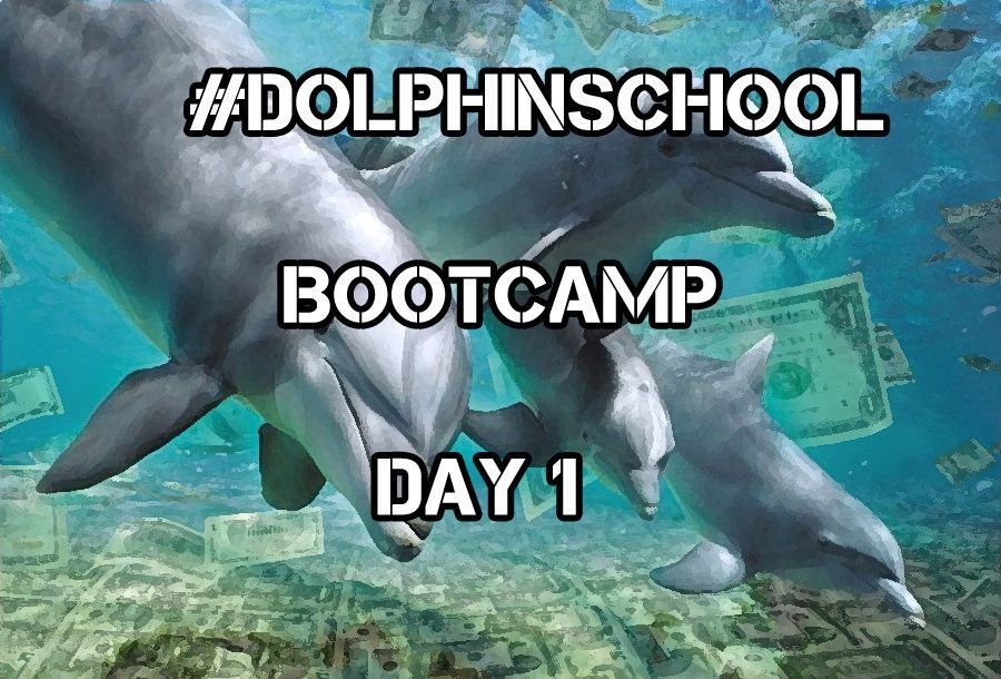 Dolphin bootcamp day 1.jpg