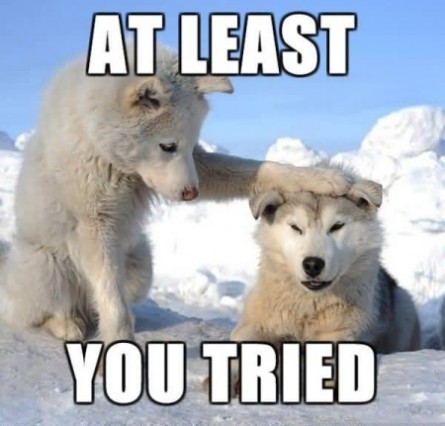 funny-dogs-with-positive-attitude-445x426.jpg