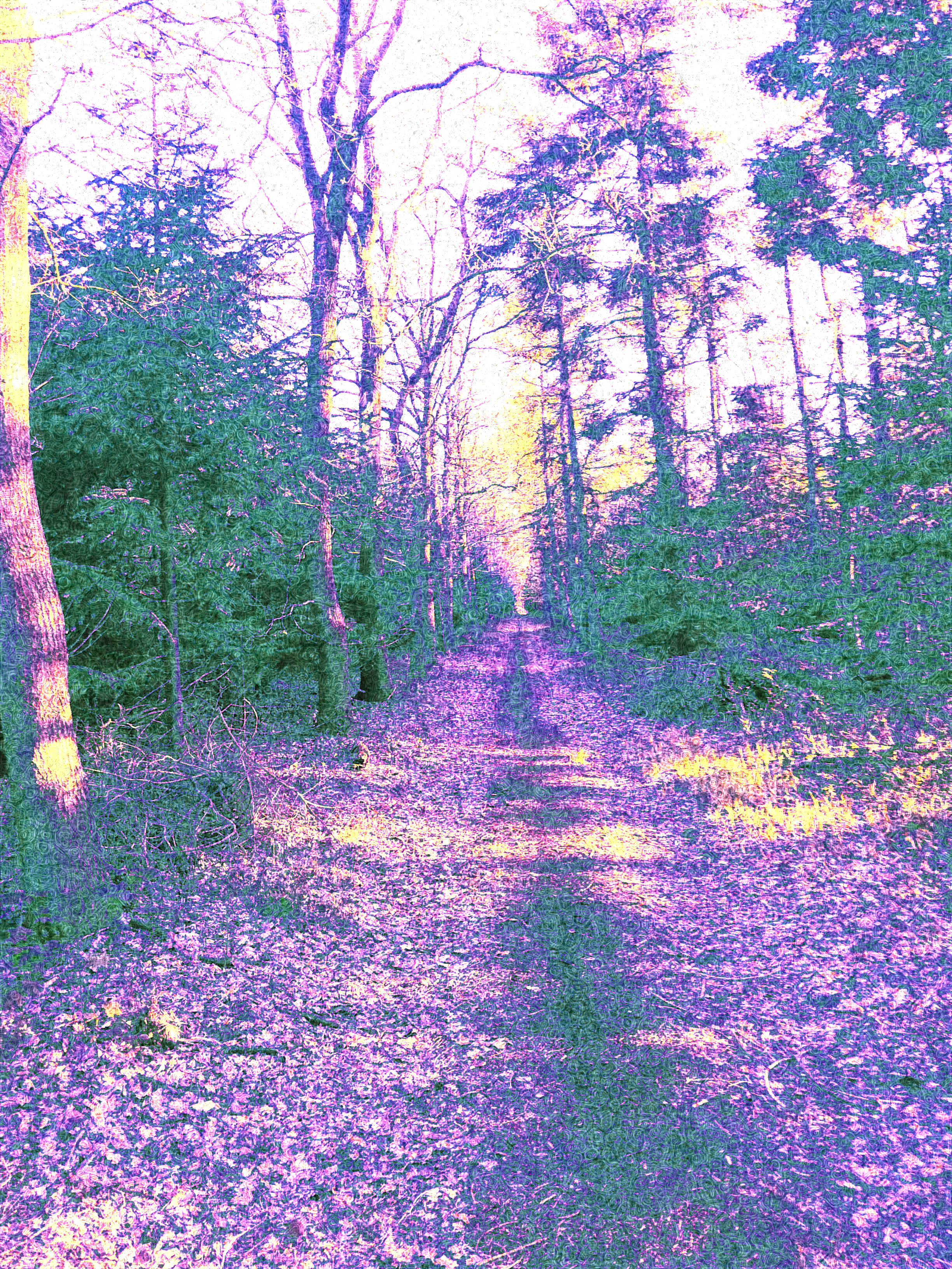 trippy tree alley.png