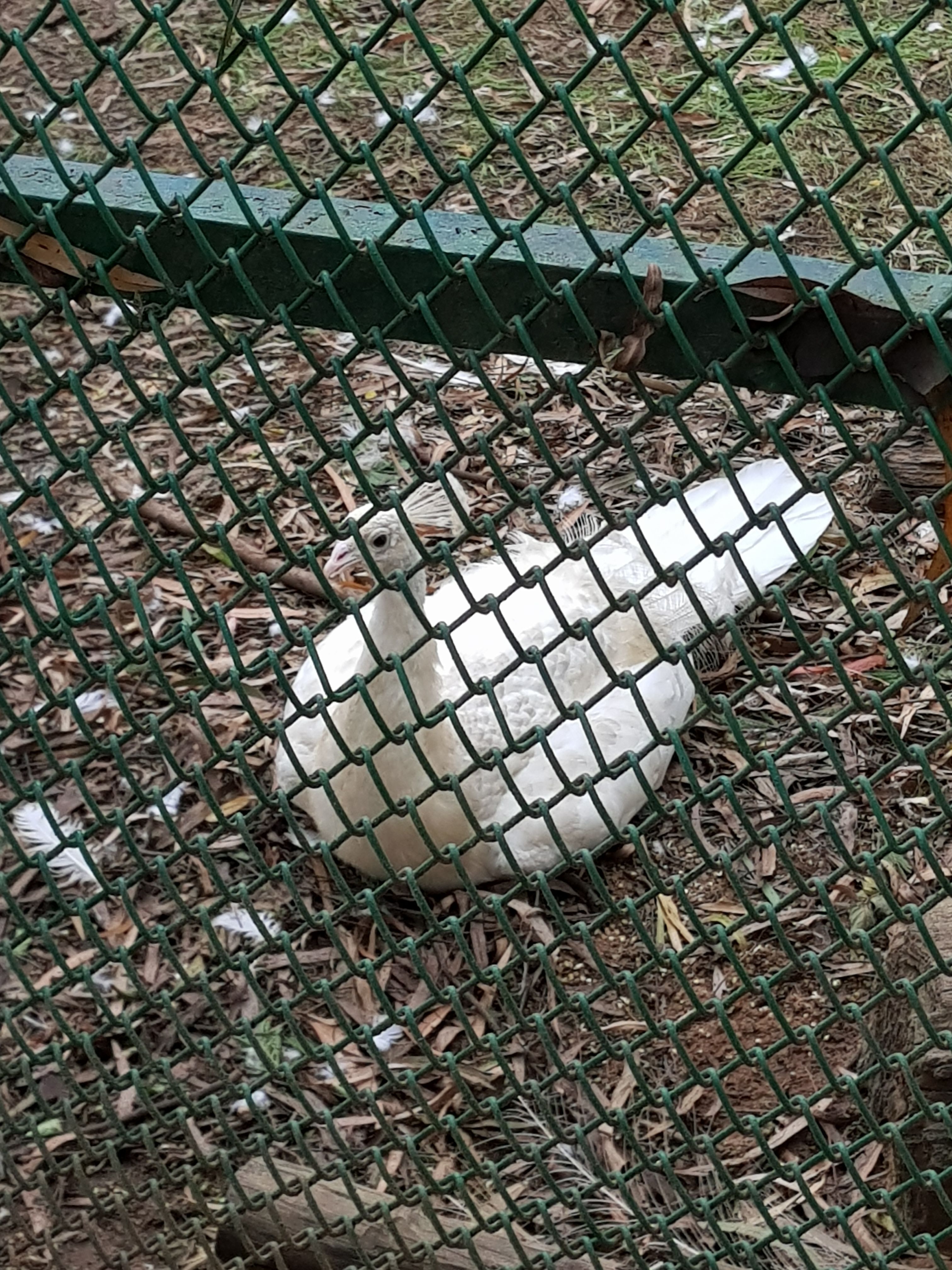 20170723_164630.jpg