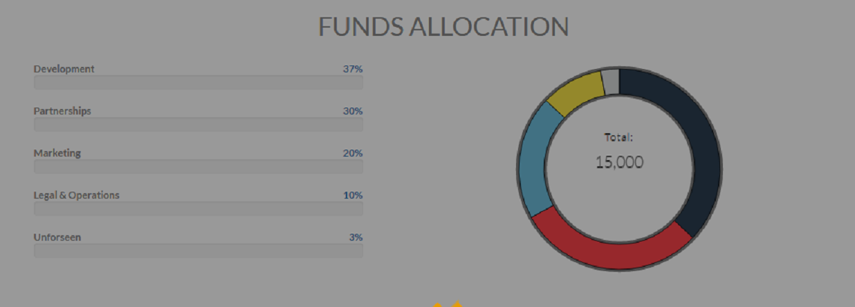fund allocation.png
