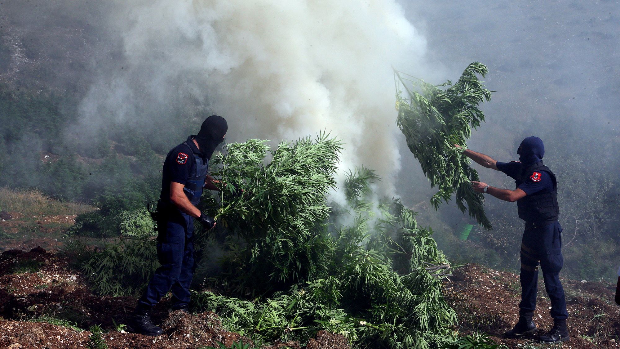 Cannabisverbrennung-Albanien-Foto-PA.jpg