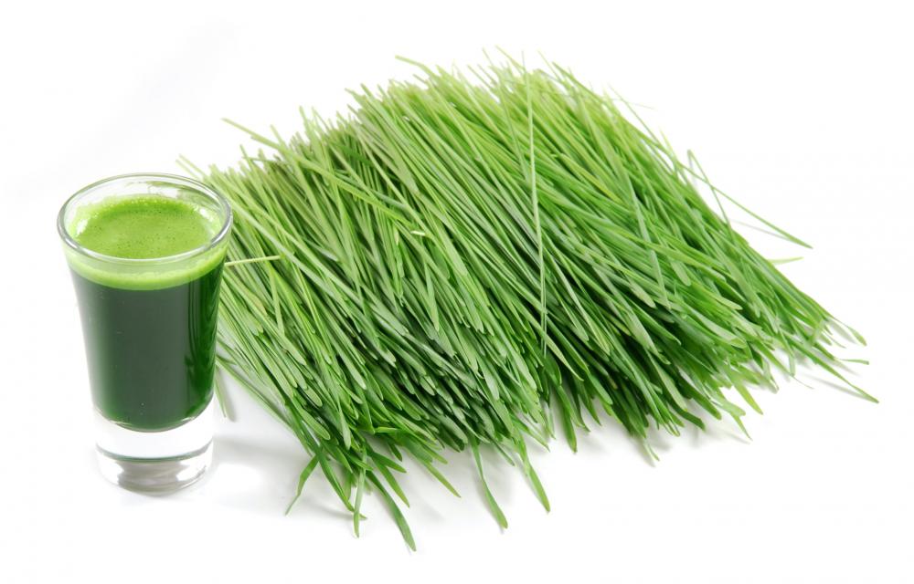 wheatgrass.jpg