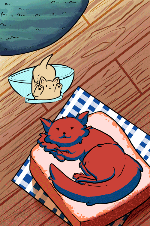 jellycatsprocess-pt-2-.gif