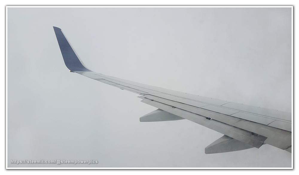 Wingtip-View-02-SteemPowerPics.png