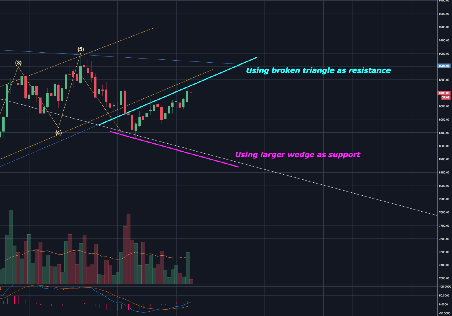 wedge supports.png