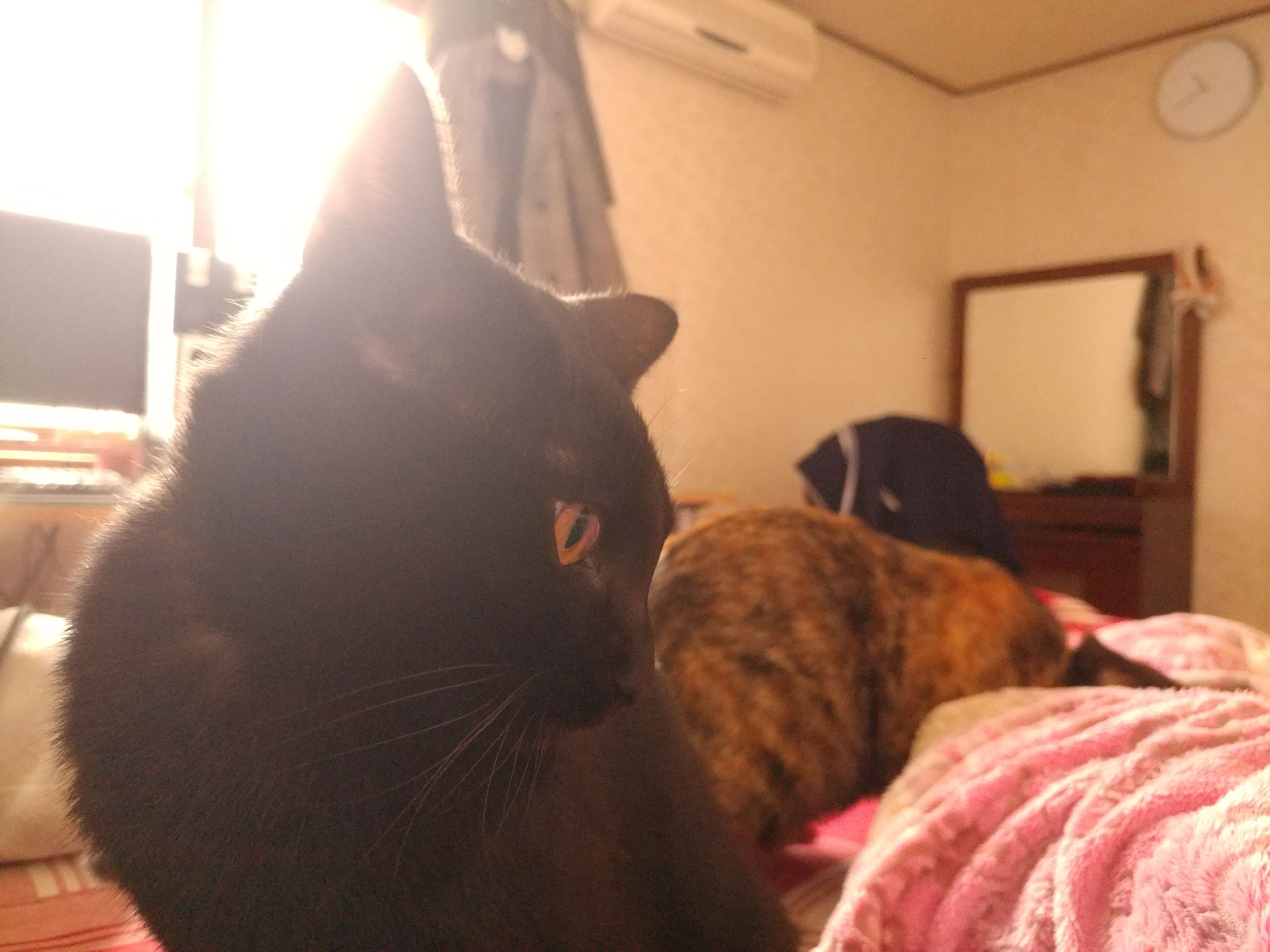 20171105_103905.jpg