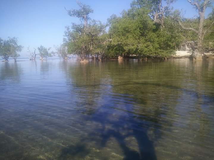 jie28 landscape (11).jpg