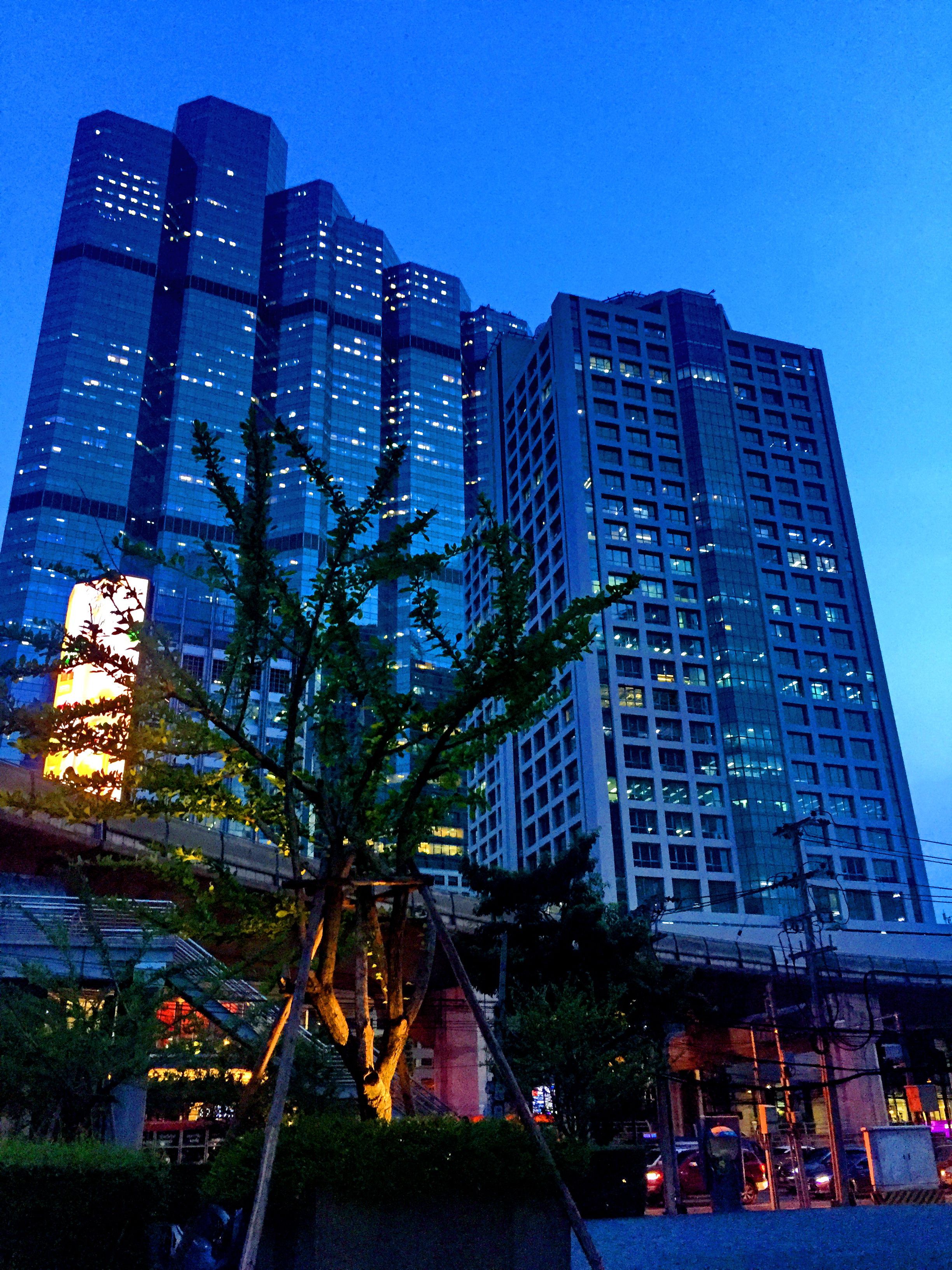 iPhone 6 Sept 21st 2017 159.JPG