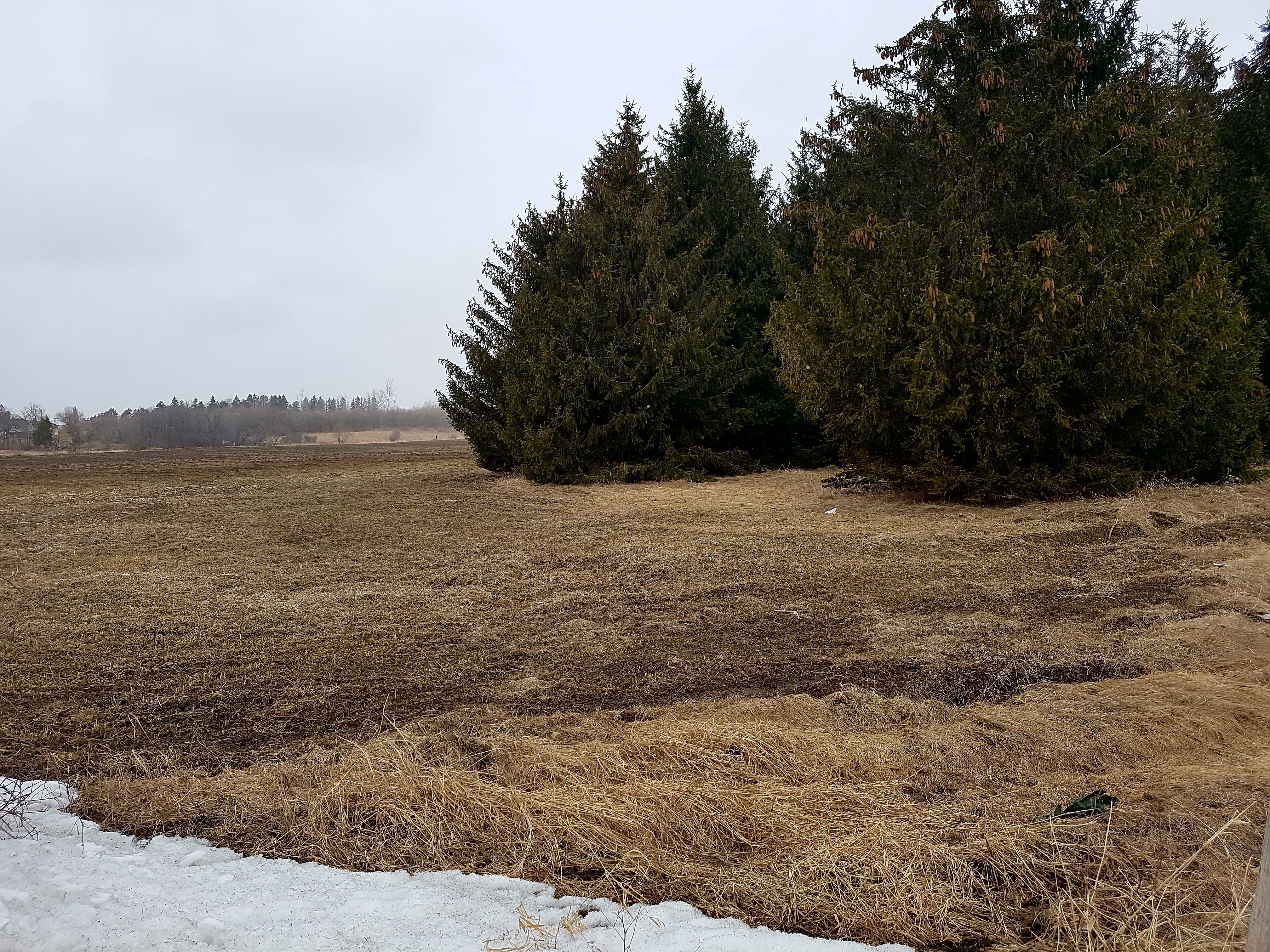 20180410_103804.jpg