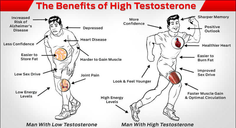 TestosteroneMan.jpg