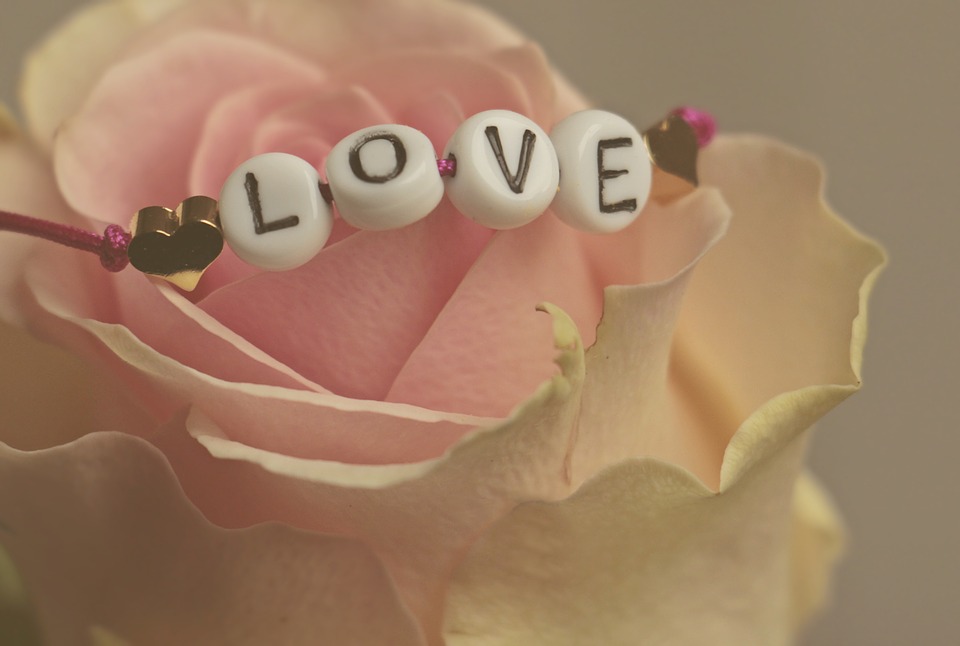 httpspixabay.comesamor-rosa-flor-sentimientos-3388626.jpg