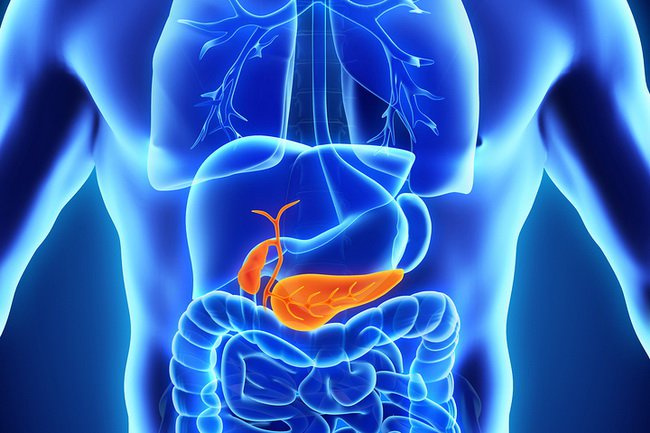 bigstock-Human-Gallbladder-and-Pancreas-83816423.jpg