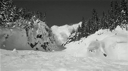 sssw.gif
