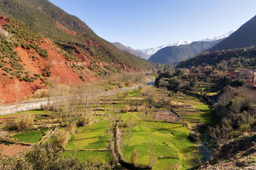 day-trip-to-atlas-mountains-from-marrakech-with-optional-visit-to-in-marrakech-142759.jpg