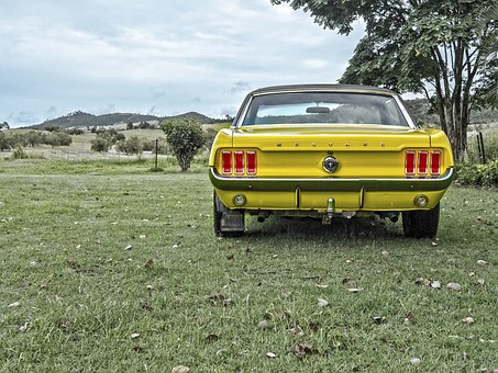 mustang-1184505__340.jpg