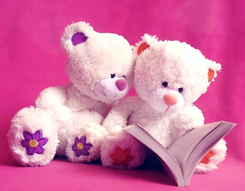 Cute-Teddy+Bear-pair-Reading-Pink-+Wallpaper.jpg