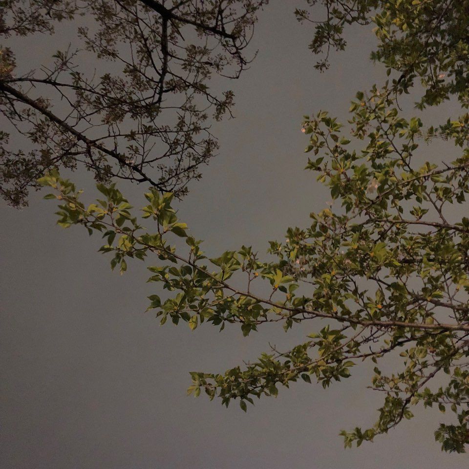 KakaoTalk_Photo_2018-04-14-15-45-27_53.jpeg