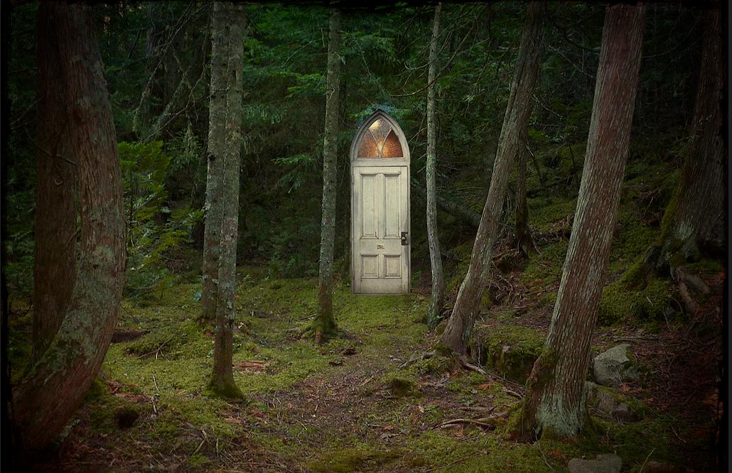 Portal in woods.jpg