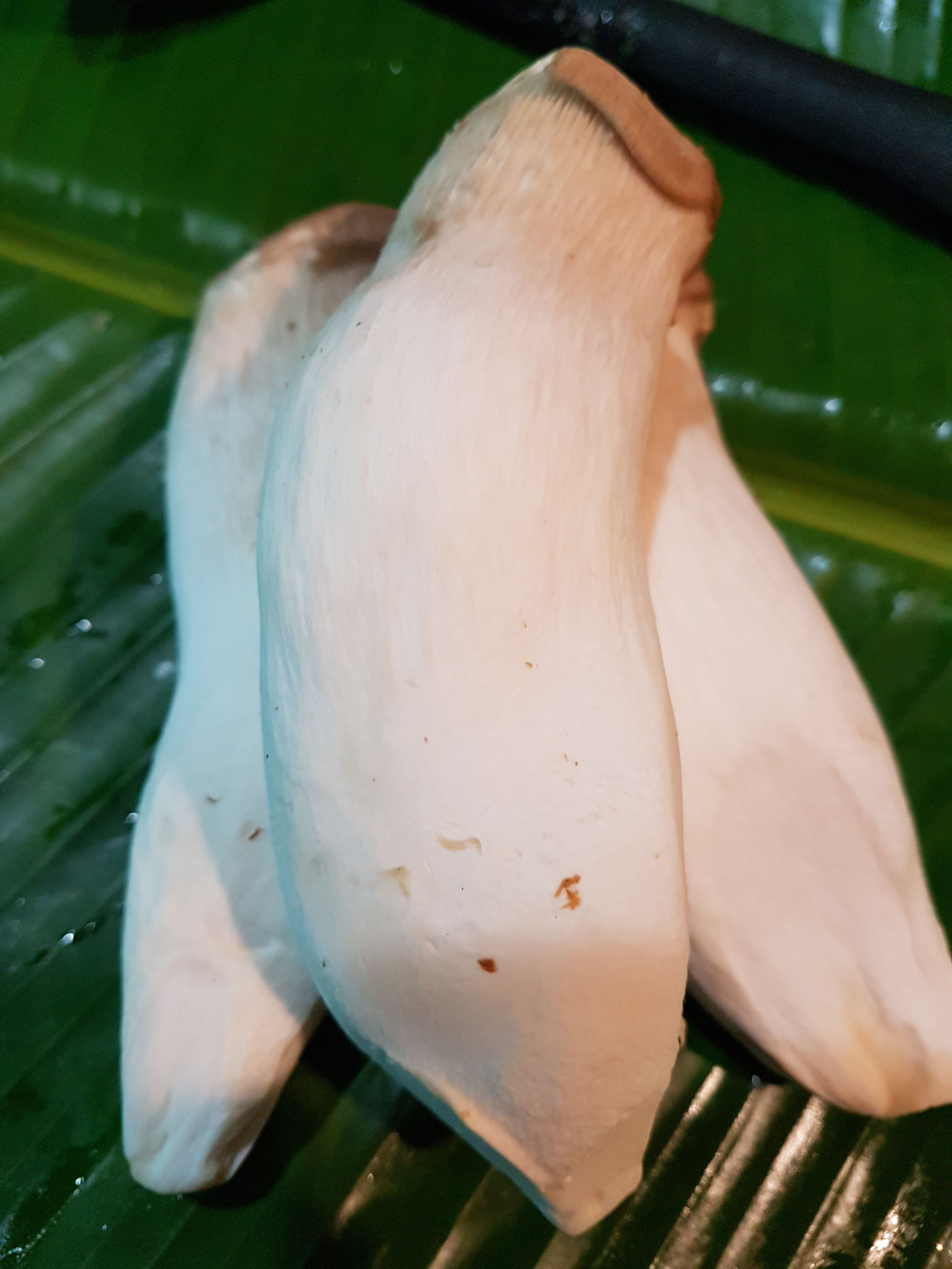 20171125_103253.jpg